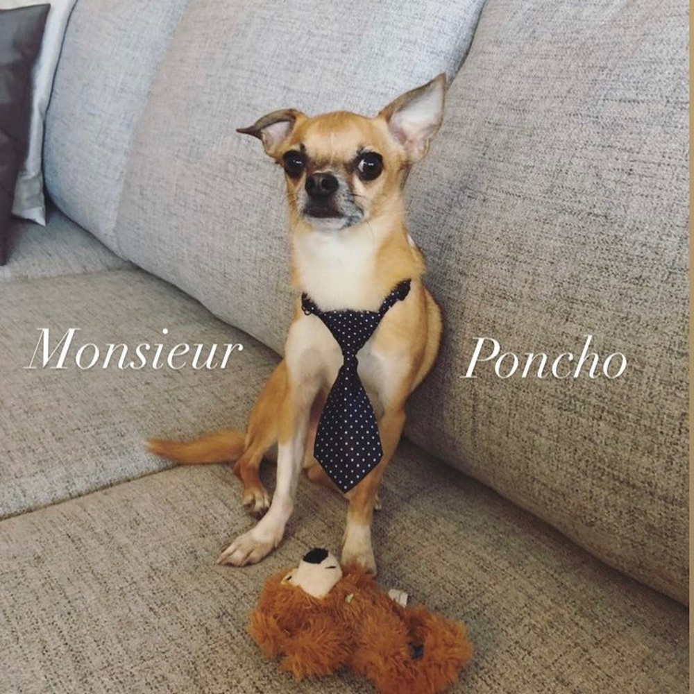 Meet your Posher, Karolane